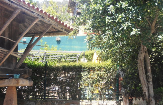 Al Llagar - Photo 28