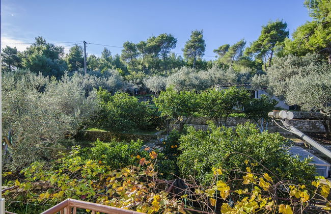 Apartments Dragica - Foto 36