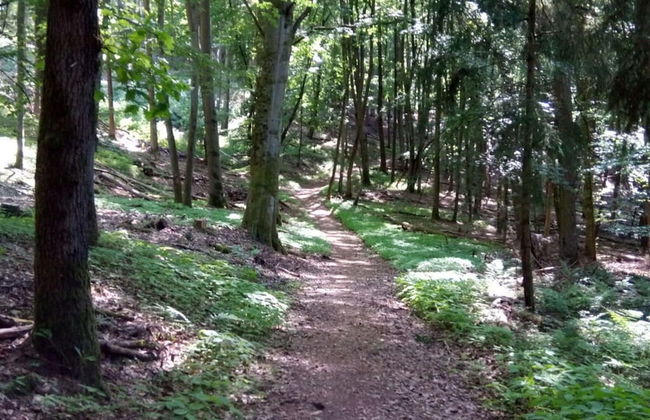 Holiday Apartment Lautertalblick - Photo 28