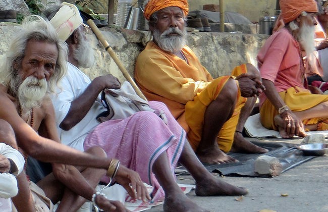 Tour a piedi dei templi e degli haveli della vecchia Jaipur - Foto 2