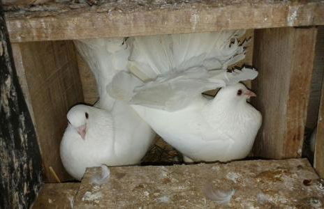 Casa Rural la Vallejera - Foto 95