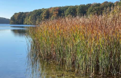 Sommerhaus am Trebuser See - Photo 25