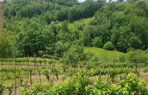 Casa del'Orto - Foto 29