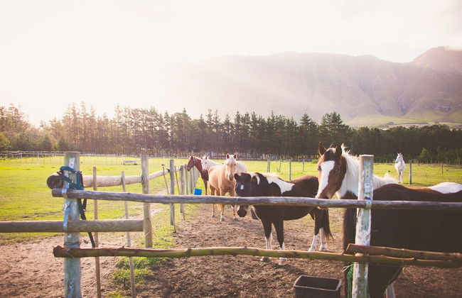 Clouds End Farm - Photo 43