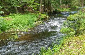 Haus Bergblick - Foto 48
