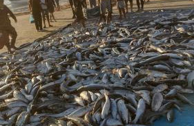 Casa Praia de Itapiruba SC - Foto 25