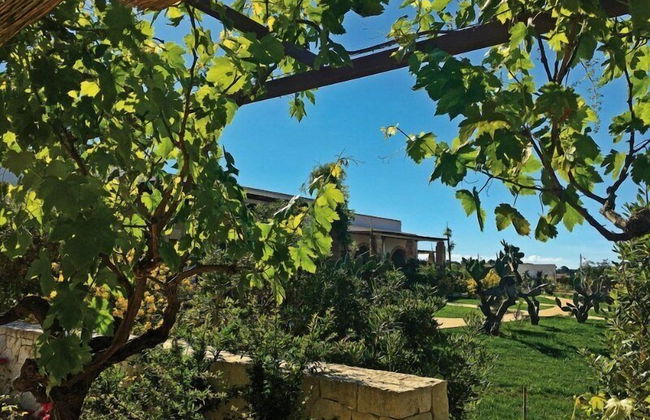 Tenuta Vigna Corallo - Foto 68