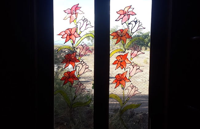 Complejo Río los Patos - Cabañas y Hostel - Photo 69