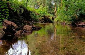 Eido da Consaca - Foto 41