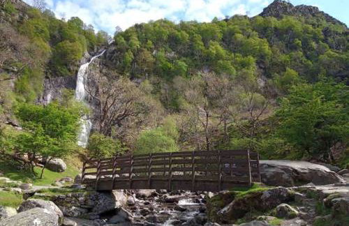 Compact Modern Apartment Single Person or Couple Only - Photo 23