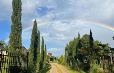 Más Figueres - Foto 49