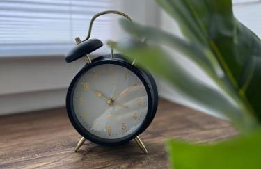 Wohlfühl Appartment - Wohnen auf Zeit - Netflix - Foto 13