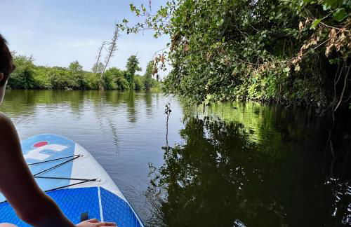 Casa do Rio Alva - Foto 22