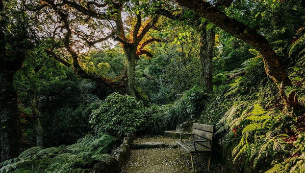 Entrada al Palacio de Monserrate - Foto 4