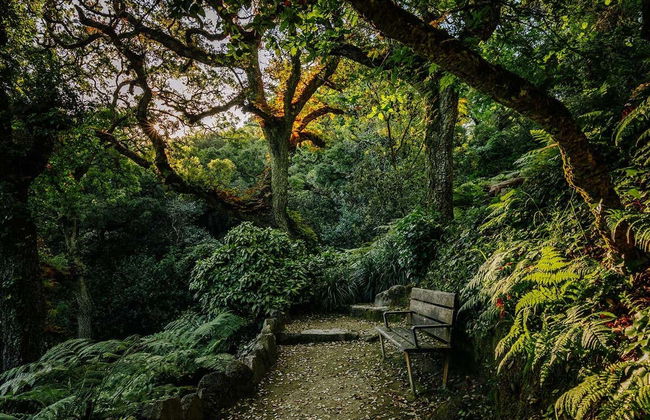 Biglietti per il Palazzo di Monserrate - Foto 4