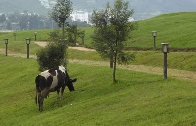 The Rosedale Grand Nuwara Eliya - Foto 17