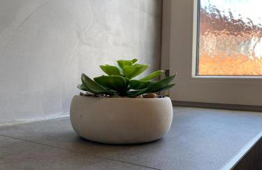 Apartment Bianca Premantura Istrien - Foto 70