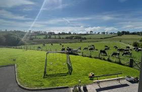 Tate's Meadow - Foto 16