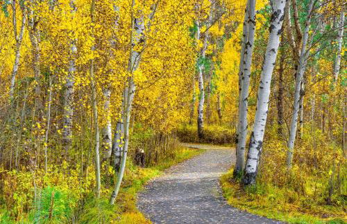 Black Butte Ranch: Aspen Grove Retreat - Foto 51