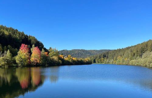 Haus Löwe - Komplettes Ferienhaus am Badesee - Foto 39