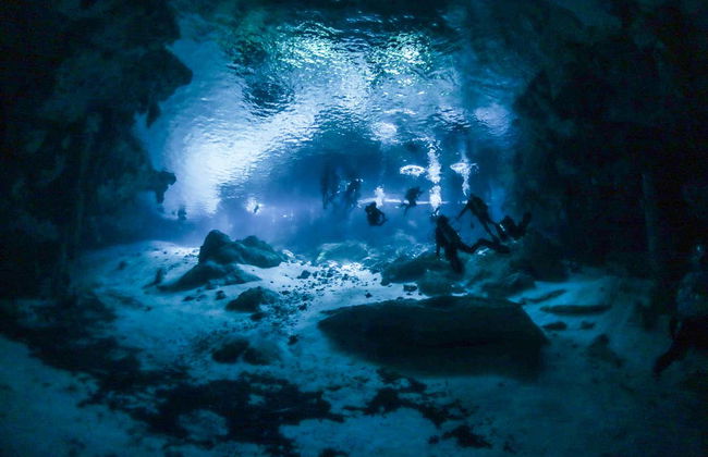 Plongée à Puerto Morelos - Photo 8