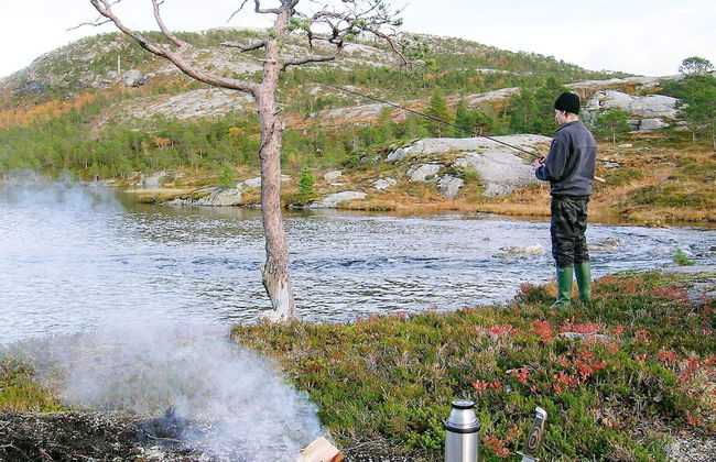 4 Person Holiday Home in Stonglandseidet-by Traum - Foto 19