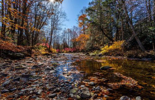 Heated Indoor Private Pool Stream Front Game Room - Photo 41