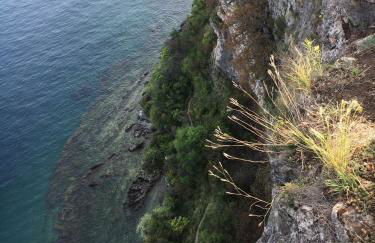 Agriturismo Holle - Foto 30