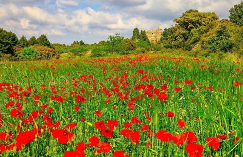 Ruralracons - Foto 22