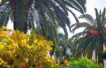 La Giralda 2 Denia Les Marines - Photo 19