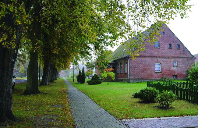 Reihenhaus mit Wlan in Buchholz am Muritzsee - Foto 26