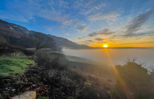 Berrobiaenea naturaleza y armonia - Photo 15