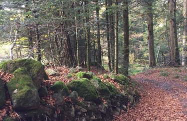 Chez natalli - Foto 15