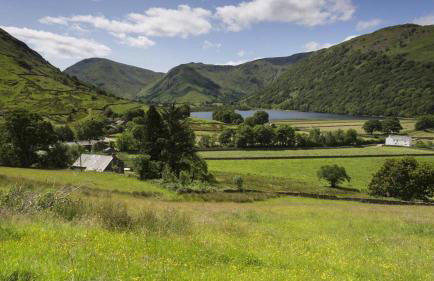 Cherry Garth - Foto 22