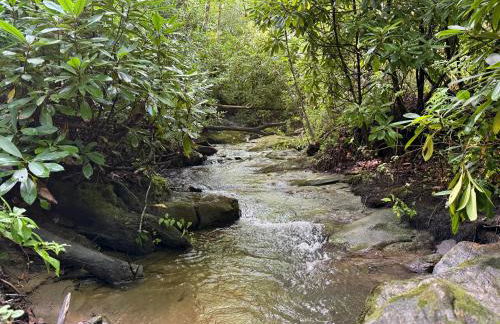 Tree Top Mountain Lodge - Photo 69