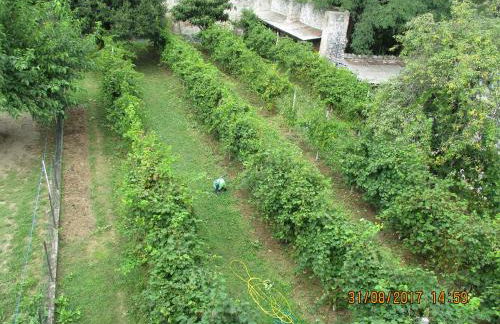 La Corte Di Ottorina - Foto 34