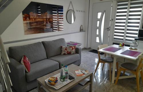 T2 Charmant duplex independant Blagnac - Photo 8