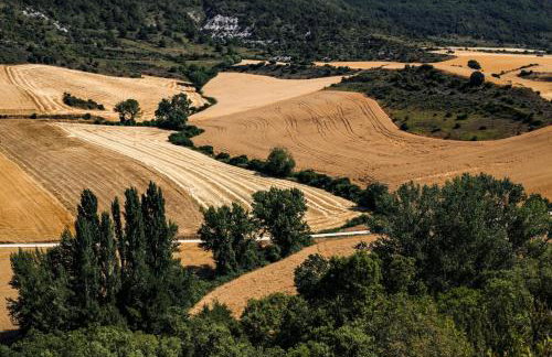 Casa Rural IKIGAI, Viloria Navarra - Foto 59