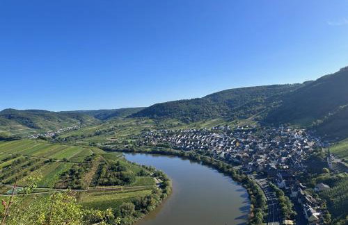 Ferienhaus Leopold mit Burgblick an der Mosel - Foto 76