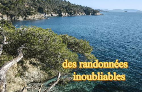 Superbe Villa 5 étoiles Presqu'Île de Giens la Madrague Rita la Villa d'Or vue mer piscine - Foto 44