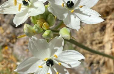 Casa Vidalita Lanjaron - Foto 16