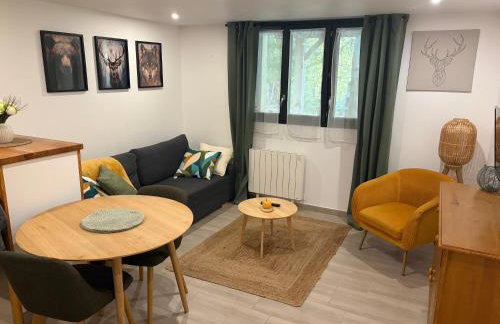 Ariège, appartement avec jardin en bord de rivière - Foto 1