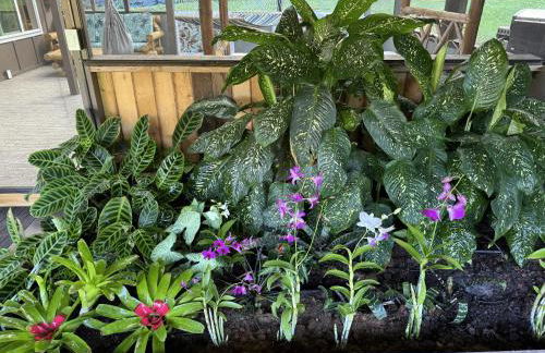 Secluded house, Opening special! - Photo 13