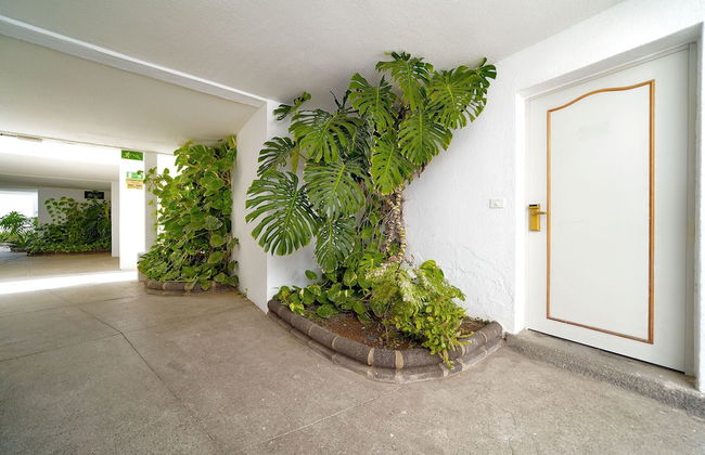 Apartamentos Rio Piedras - Foto 24