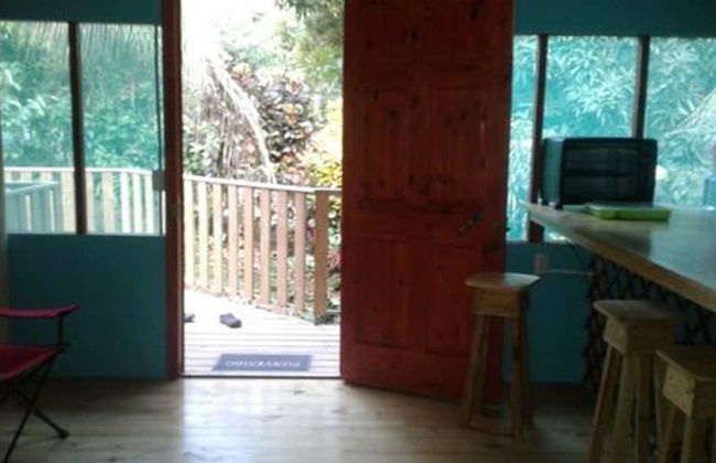 Drake Lapas - Foto 2