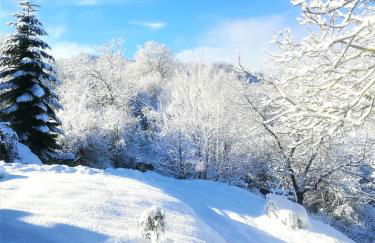 Agriturismo Malvista - Foto 7