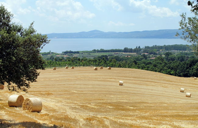 Il Podere del Lago - Foto 21