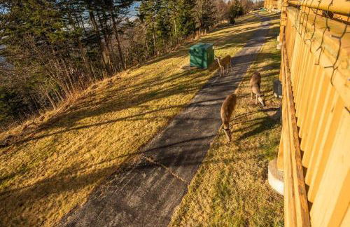 Cozy Condo at Summit - Foto 49