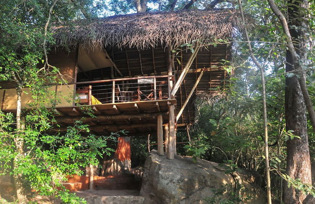 Back of Beyond - Dehigaha Ela - Photo 11