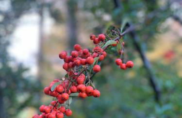 Ferienhaus Nadine 2023 komplett saniert - Foto 54